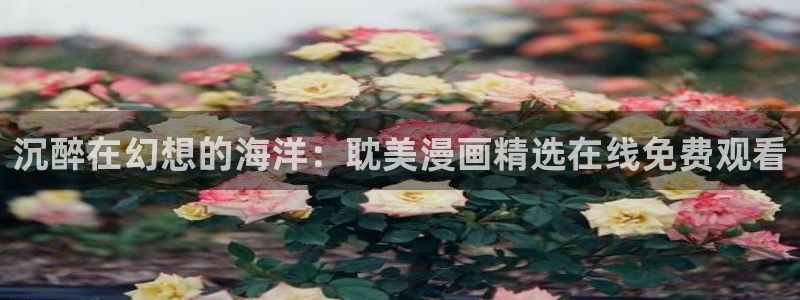 韩漫贝勒漫画：沉醉在幻想的海洋：耽美漫画精选在线免费观看