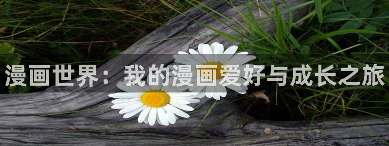 贝勒漫画_分类：漫画世界：我的漫画爱好与成长之旅