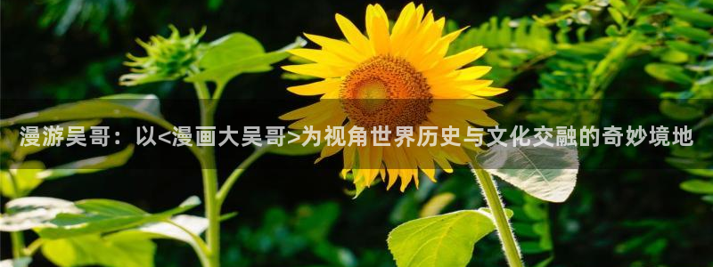 贝勒漫画排行榜全部：漫游吴哥：以<漫画大吴哥>为视角世界历史与文化交融的奇妙境地