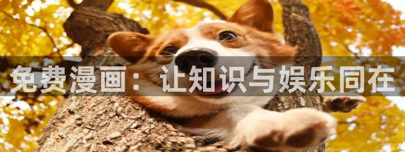 贝勒漫画登录：免费漫画：让知识与娱乐同在